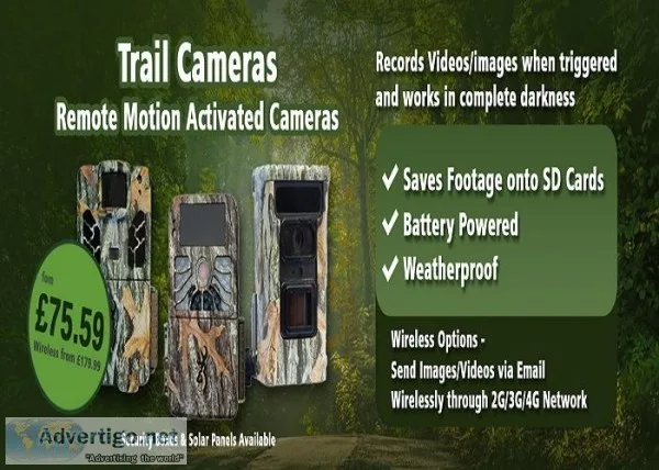 Bird Feeder Cameras  Ukwildlifecameras.co .uk