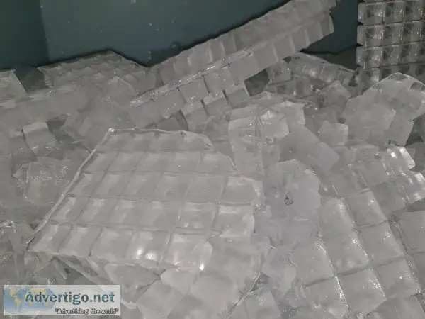 1500lbs Ice for Sale