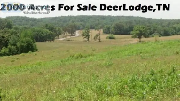 Buy Land In Tennessee 1932 Acres Morgan County TN