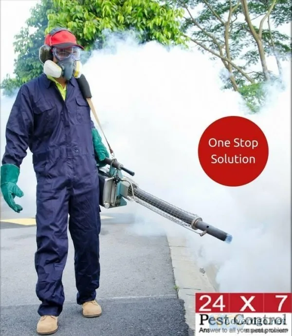 Control Cockroach problem in Pune
