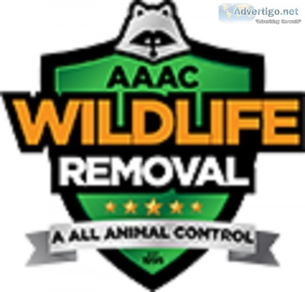 AAAC Wildlife Removal