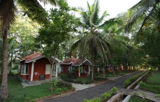 Yoga and Naturopathy Degree in India 2020-21