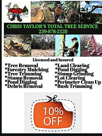 forestry mulching land clearing tree removal or trimming
