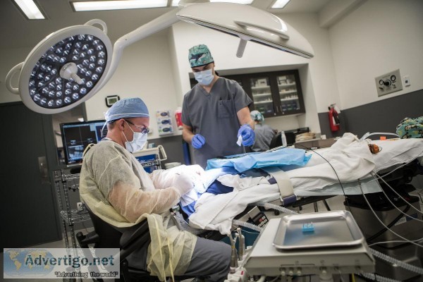 Best family dentistry in Hamilton