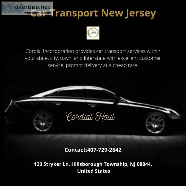 Company USA Car Transporters