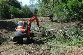 forestry mulching land clearing tree removal or trimming1