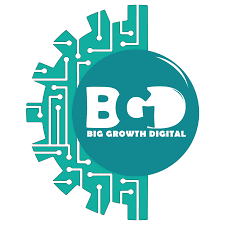 Big growth digital