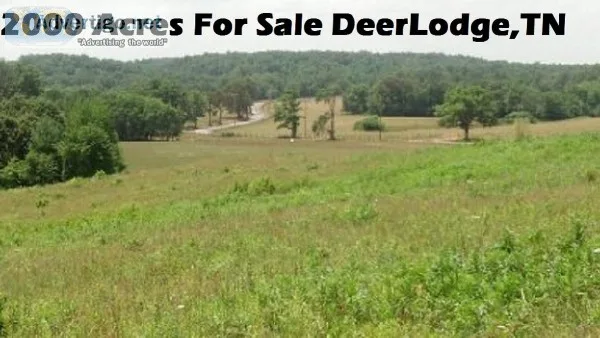 Buy Land In Tennessee