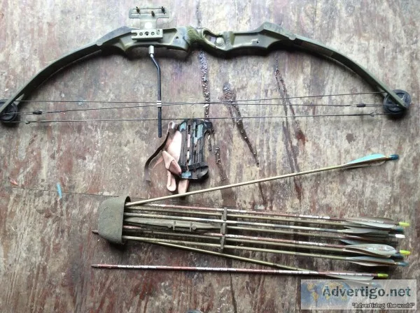 Compound bow