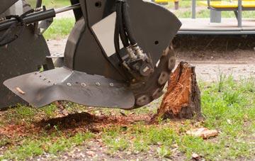 Contact us and obtain an affordable stump grinding service in Go