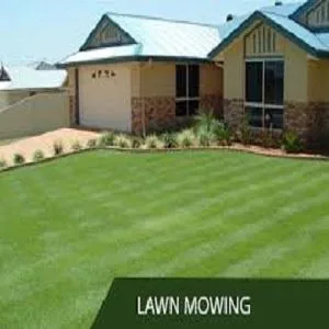Lawn Mowing Business in Perth - Malaga Gardening and Mowing