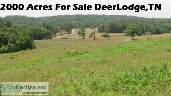 Buy Land In Deer Lodge Tennessee 1932 Acres Morgan County