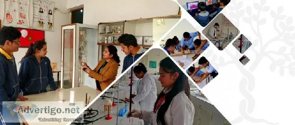 DIS  Primary&nbspschools &nbspin&nbspDwarka
