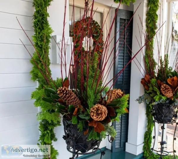 Buy Red Twig Dogwood Decorative Accents Online