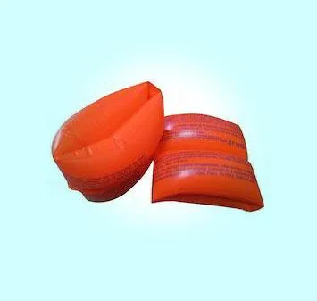 Swimming Pool Inflatable Services in delhi
