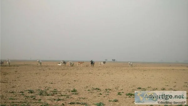 4640 Sq Yards commercial Plot in High access Corridor Panchi Vil