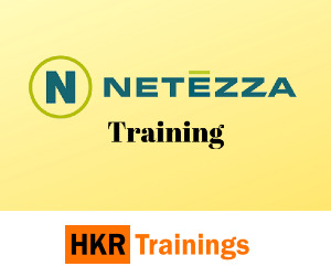 Netezza training