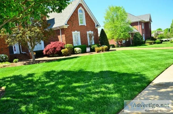 Lawn Service