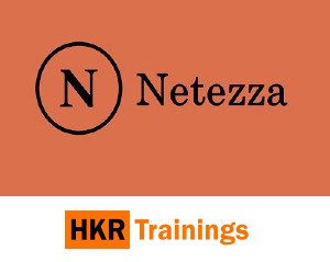 Netezza training