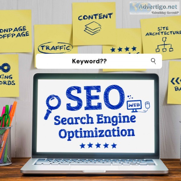 Rank your websites with us using SEO