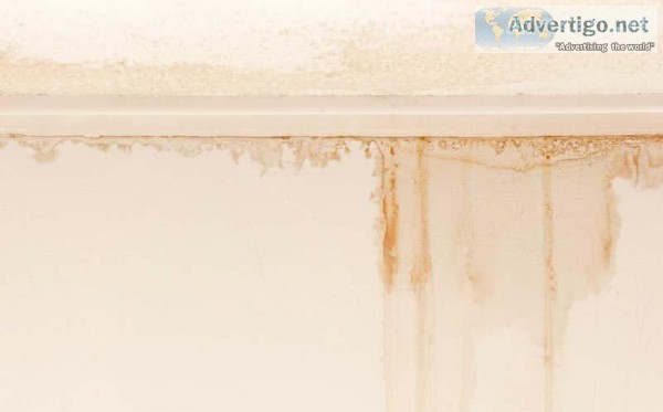 Wall Dampness Leakage Waterproofing