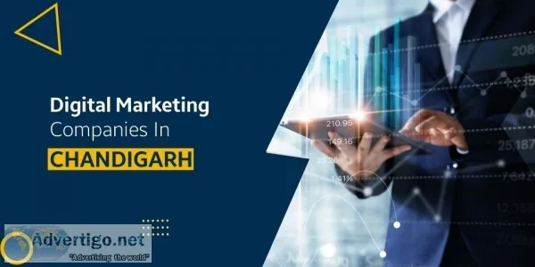 Digital Marketing Companies in Chandigarh