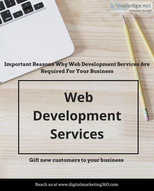 Professional Web Designers in Chicago  Digital Marketing 360