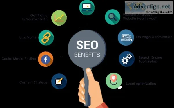 SEO expert in Delhi  Potential InfoTech
