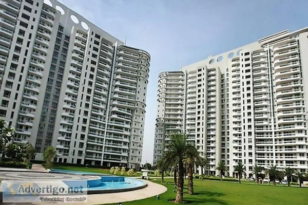 4 BHK Service Apartments in DLF The Icon for Rent