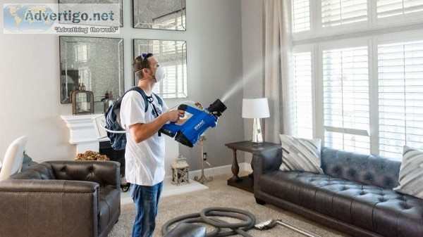 Best Disinfecting Services  Home Disinfecting Service