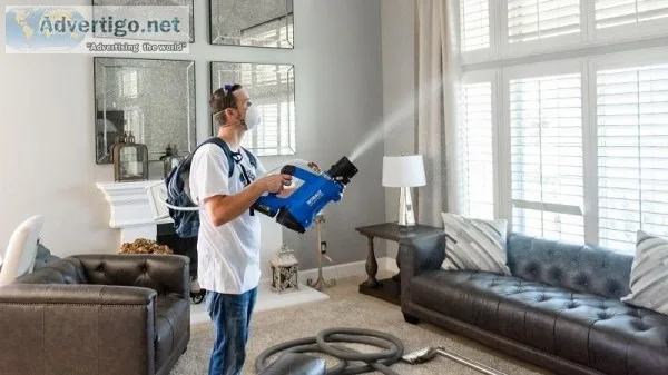Best Disinfecting Services  Home Disinfecting Service