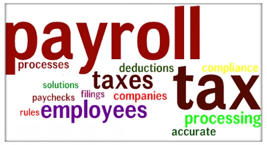 Best Payroll Outsourcing Services India