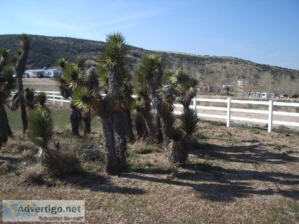 Fireproof heatproof and impact-proof- the best vinyl fence is at