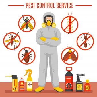 1 Pest Control Craigieburn  Remove Pest Infestation