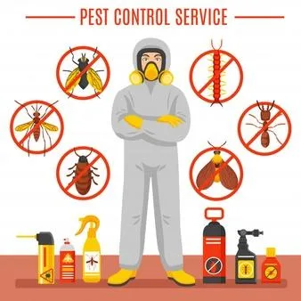 1 Pest Control Craigieburn  Remove Pest Infestation