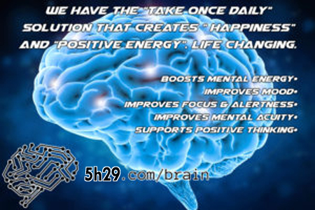 Brain food