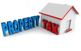 Elements to Consider Before Paying Property Tax