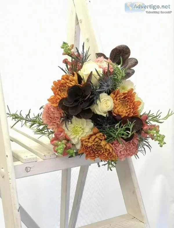 Autumn Dusk &ndash buy online or call 01525 237939
