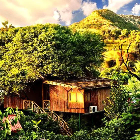 Tree House Resort Jaipur  Resort in Jaipur