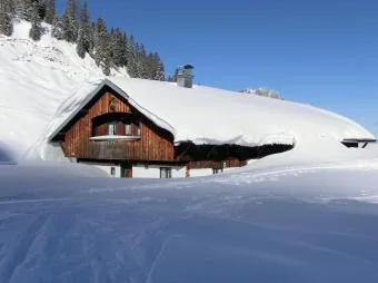 All You Need to Know About Removing Snow From Your Home This Win