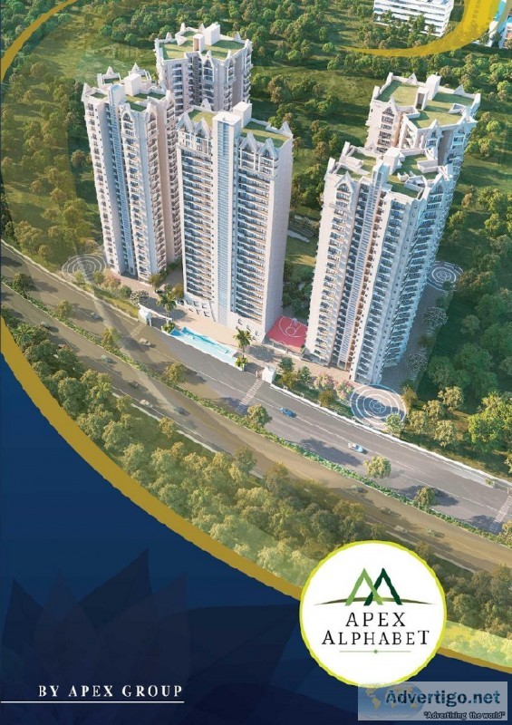 A Tradition Of Trust  Apex Alphabet Noida Extension