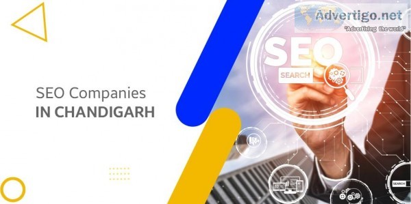 SEO Companies in Chandigarh