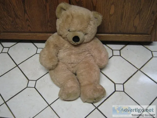 Teddy Bear &ndash 27&rdquo High X 16&rdquo Wide