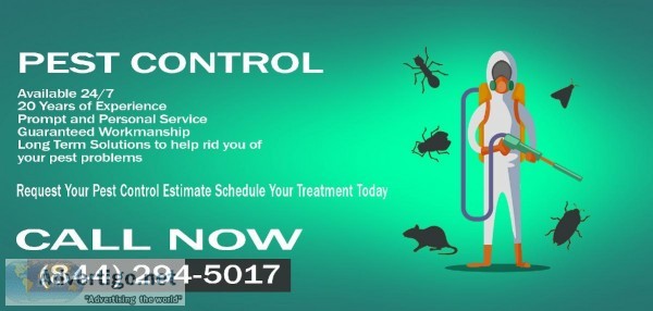  .WOW. Discount Call Today - Full Service Pest Control - Same Da