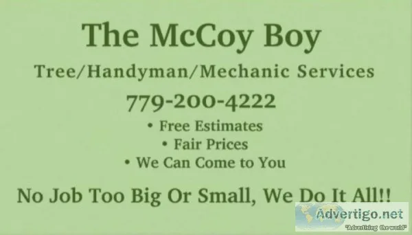 TreeHandymanMechan ic Service
