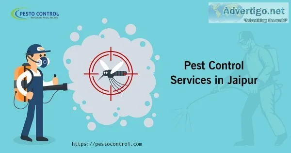 Best Sanitization and Disinfection Services in Jaipur