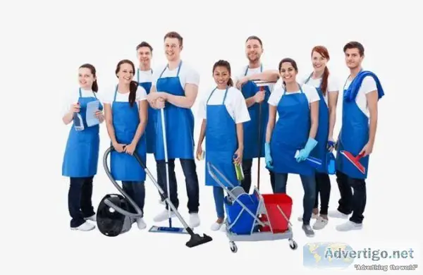 Professional Cleaning Services for Home