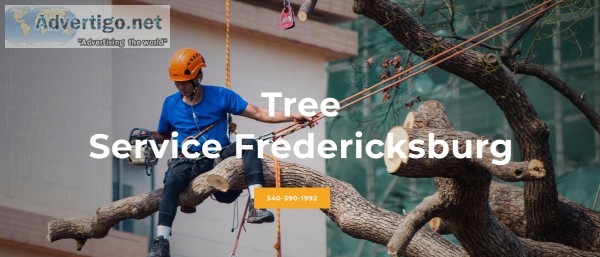 Roofing Services Fredericksburg Virginia