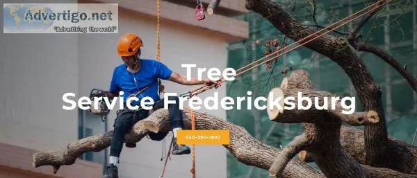 Roofing Services Fredericksburg Virginia