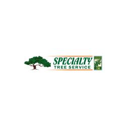 Tree Removal Pruning and Trimming Services  Specialty Tree Servi